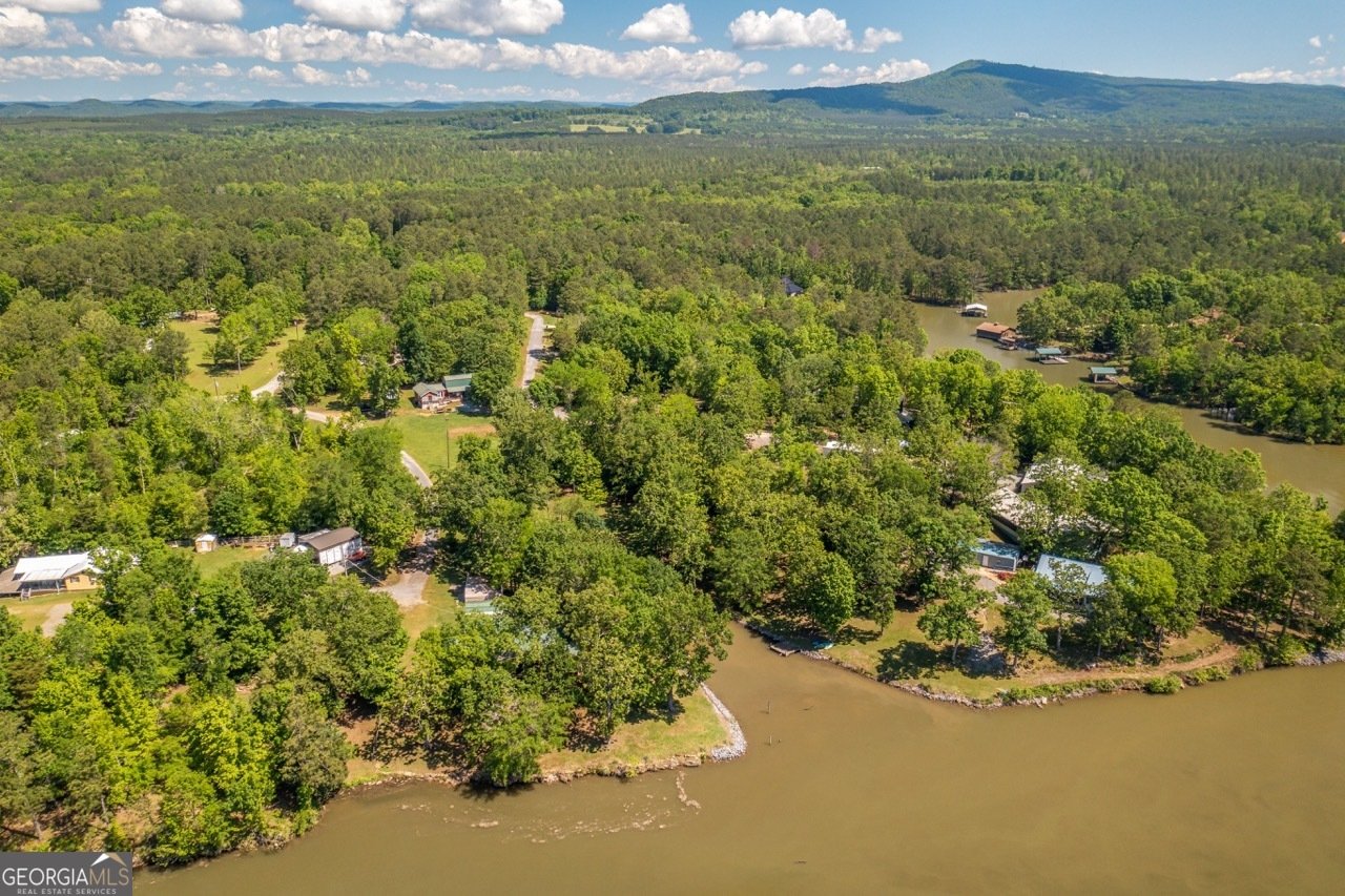 90 County Rd 993 Cedar Bluff - 29