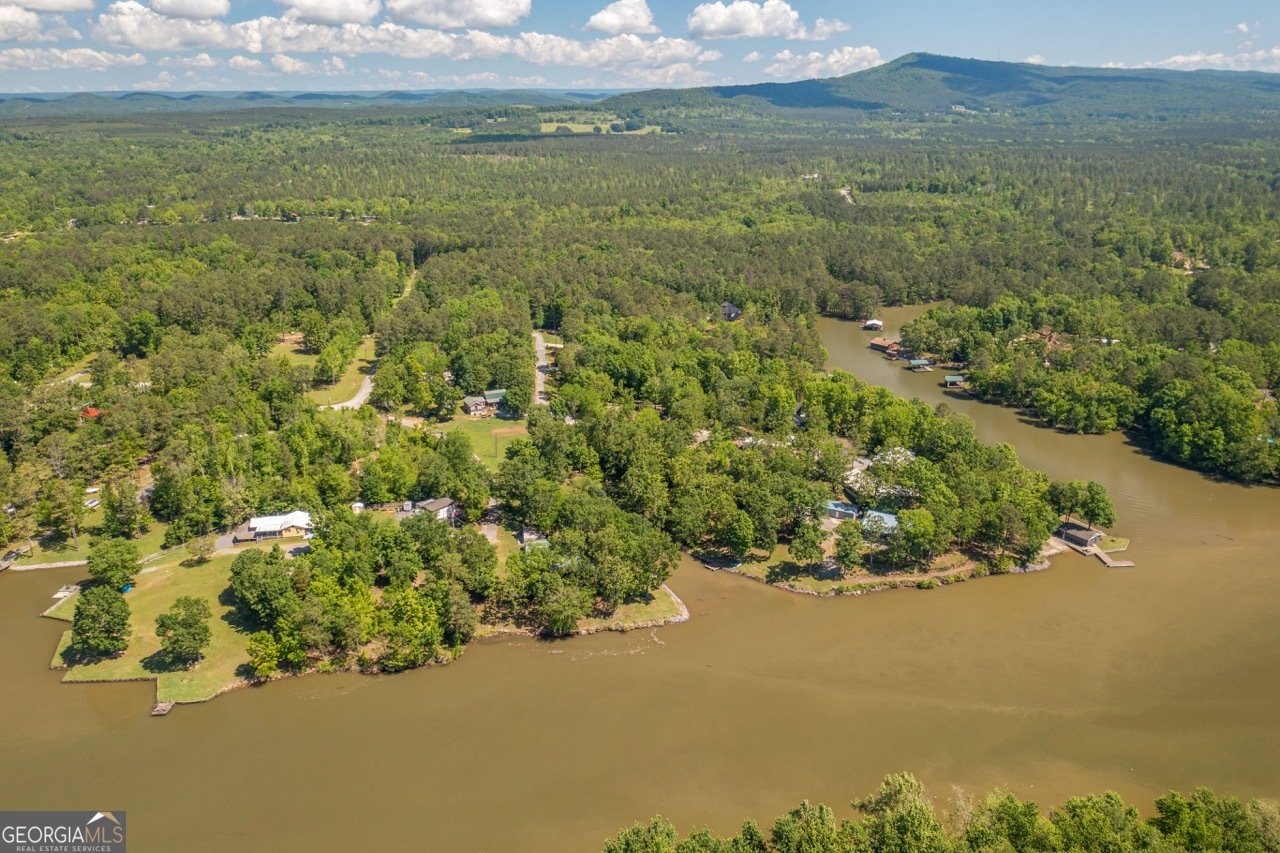 90 County Rd 993 Cedar Bluff - 34