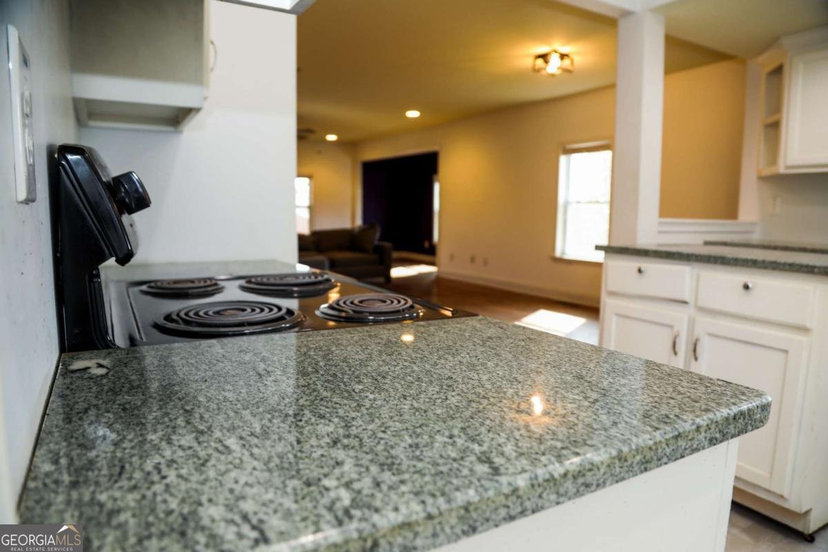 1398 Hancock Avenue Athens - 10