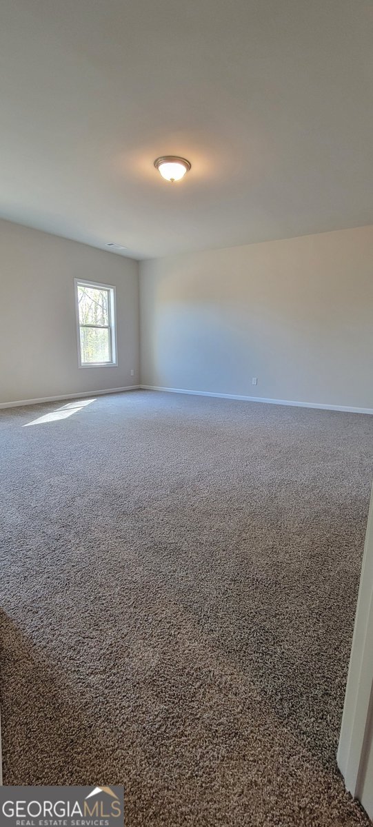128 Lavender Way McDonough - 10