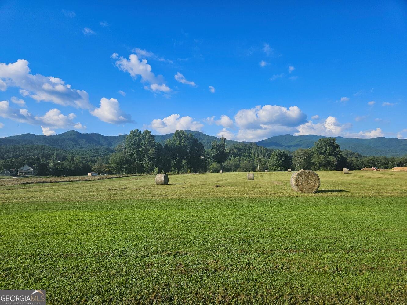 186 Rice Landing Hayesville - 55