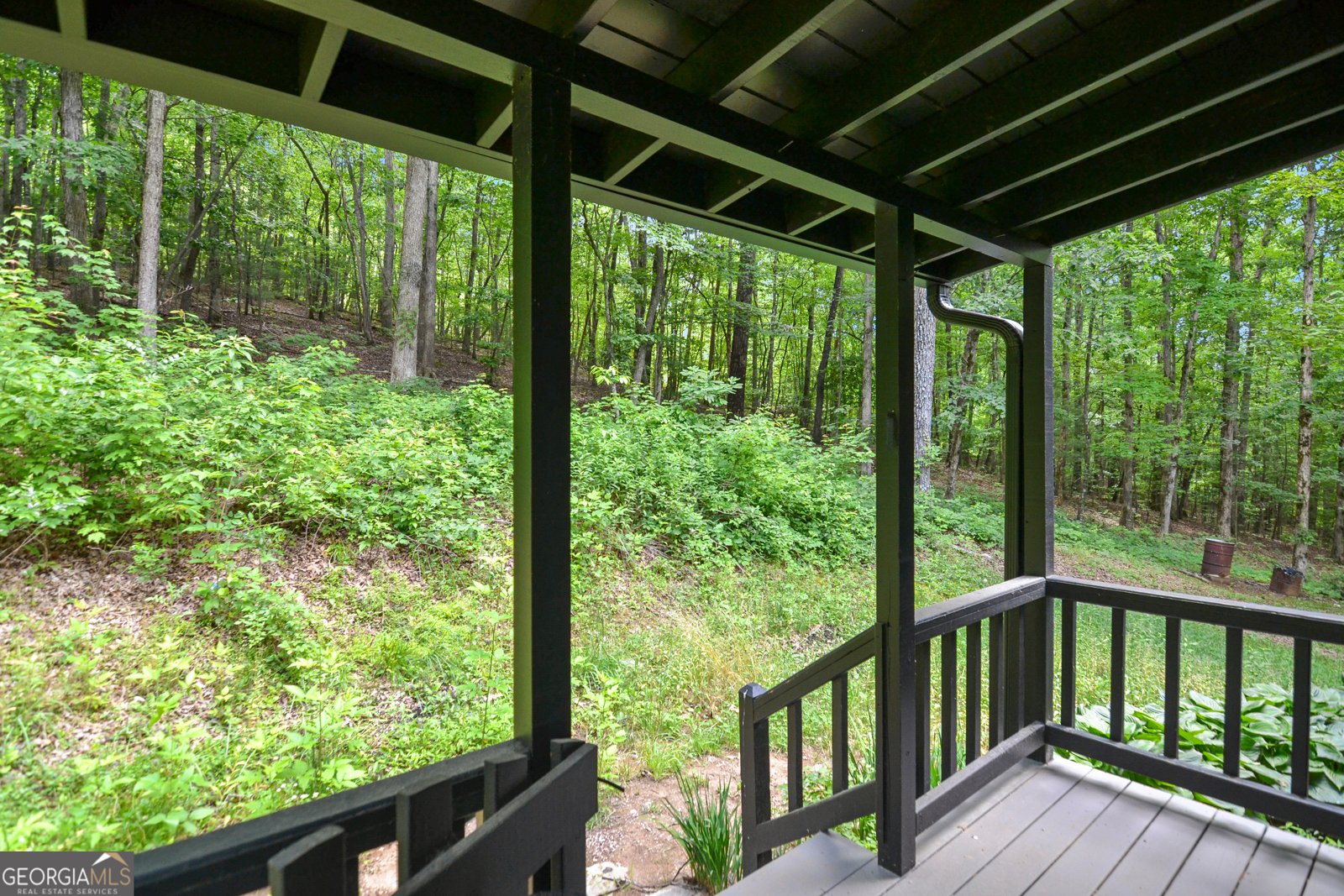136 Fox Run Drive Blue Ridge - 40