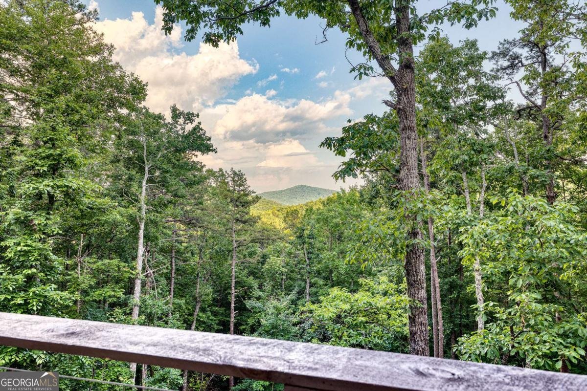 281 Raintree Bend Blue Ridge - 30