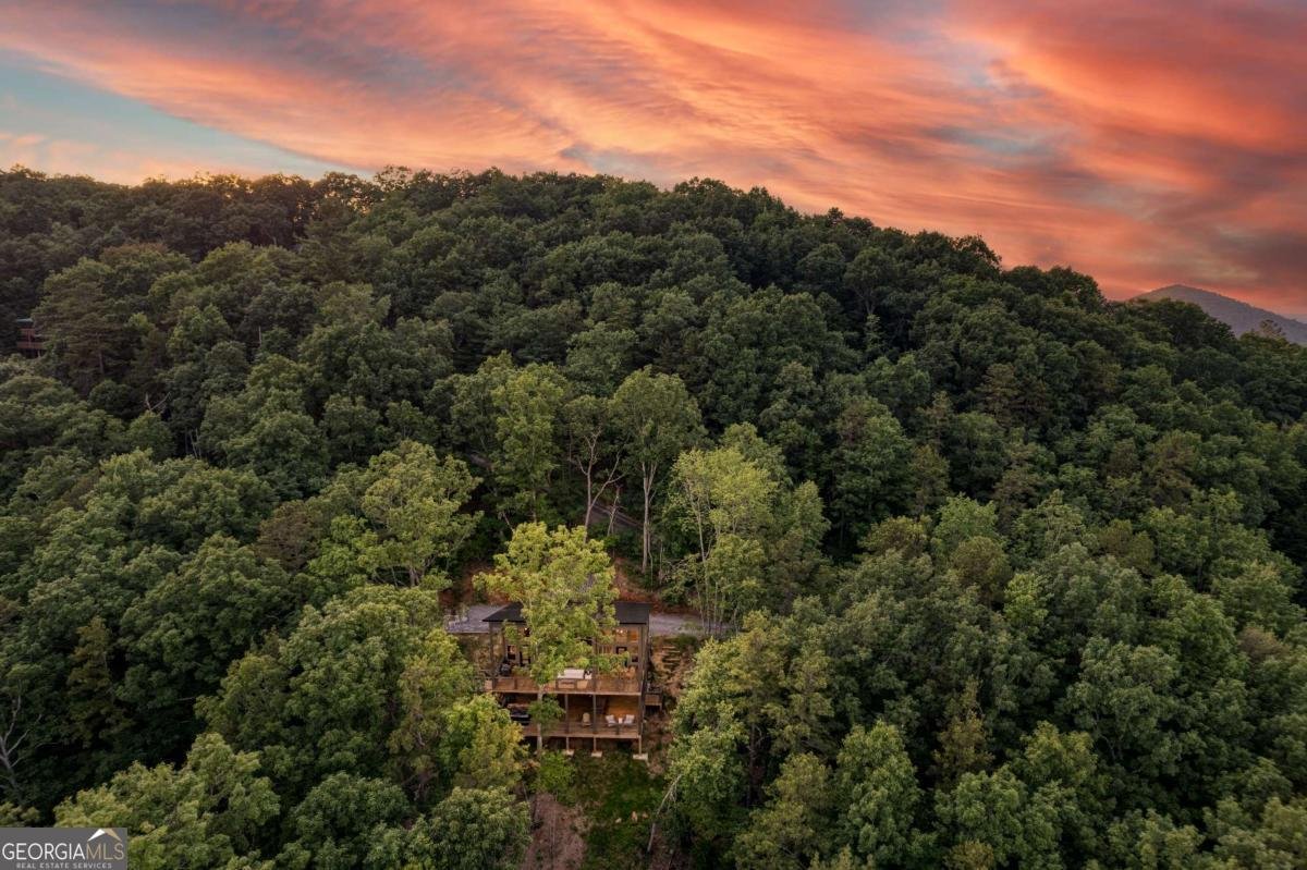 281 Raintree Bend Blue Ridge - 46