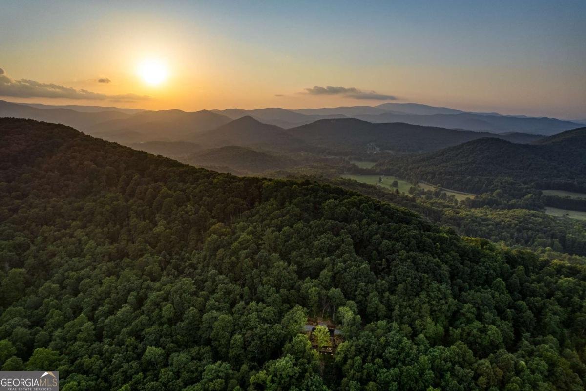 281 Raintree Bend Blue Ridge - 47