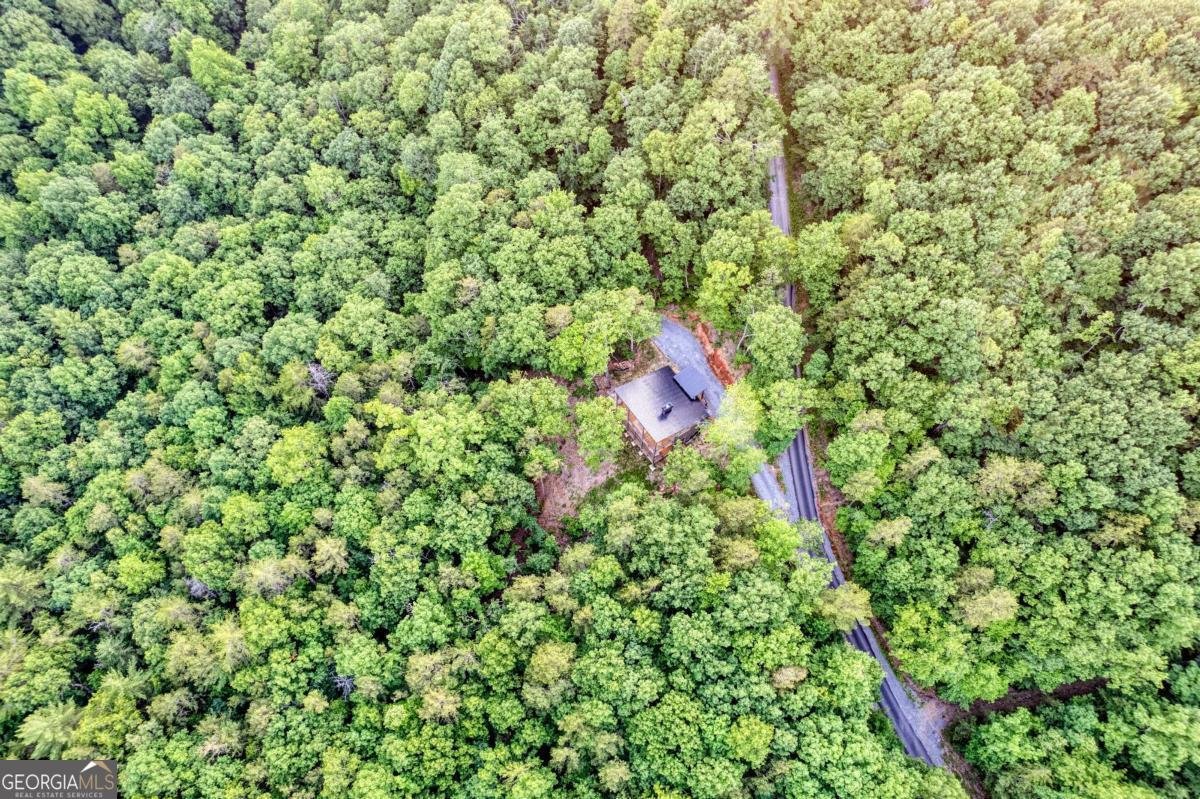 281 Raintree Bend Blue Ridge - 48