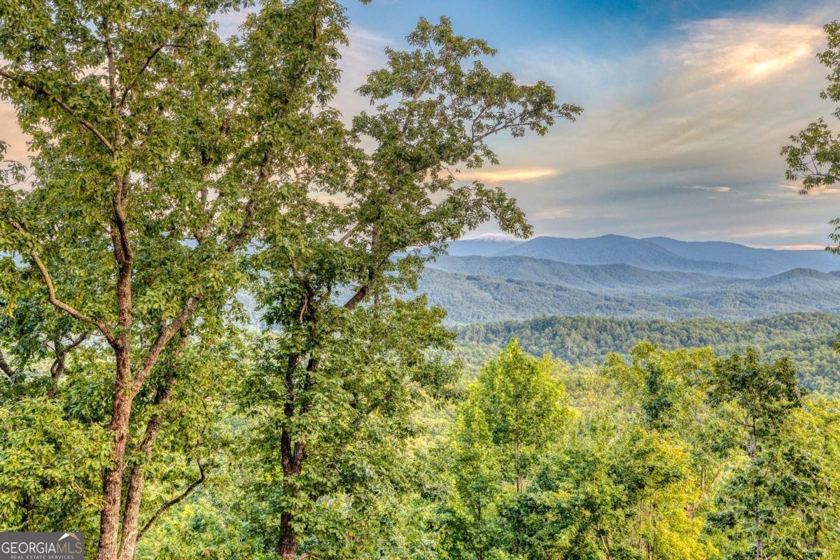 280 Point Of View Blue Ridge - 37