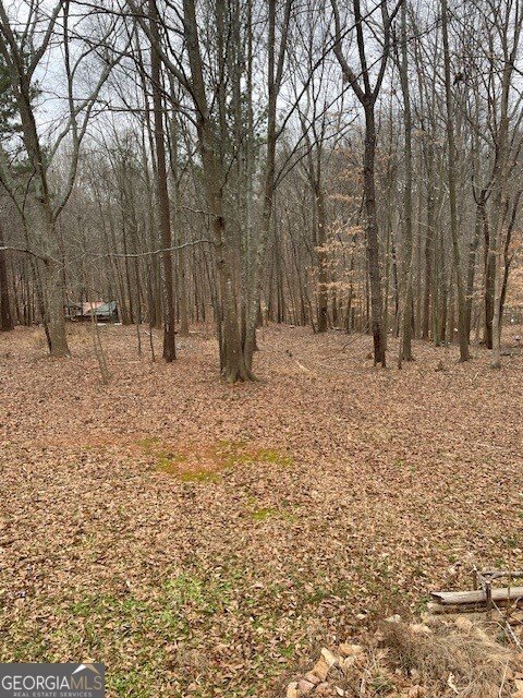 164 Arrowhead Lane Danielsville - 22