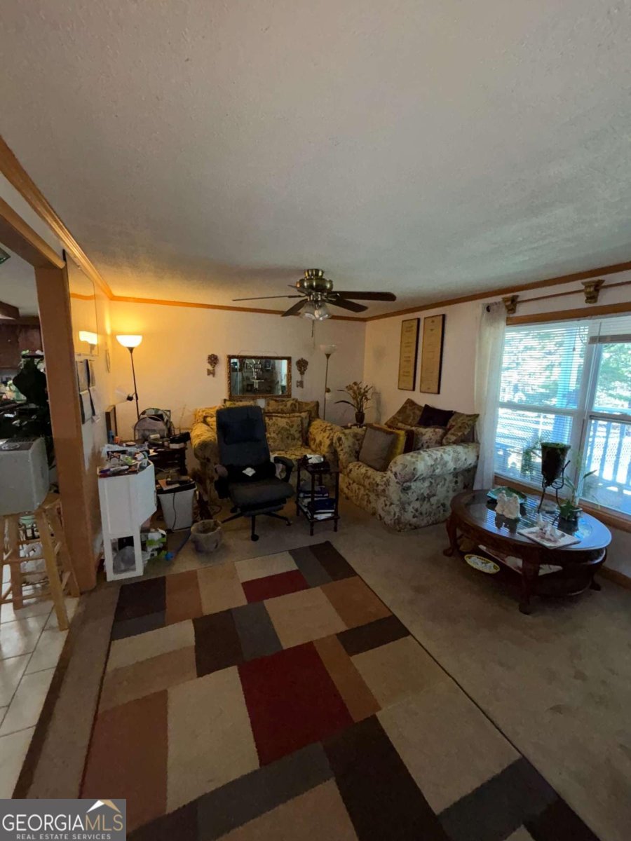 5570 Bold Springs Road Dacula - 14
