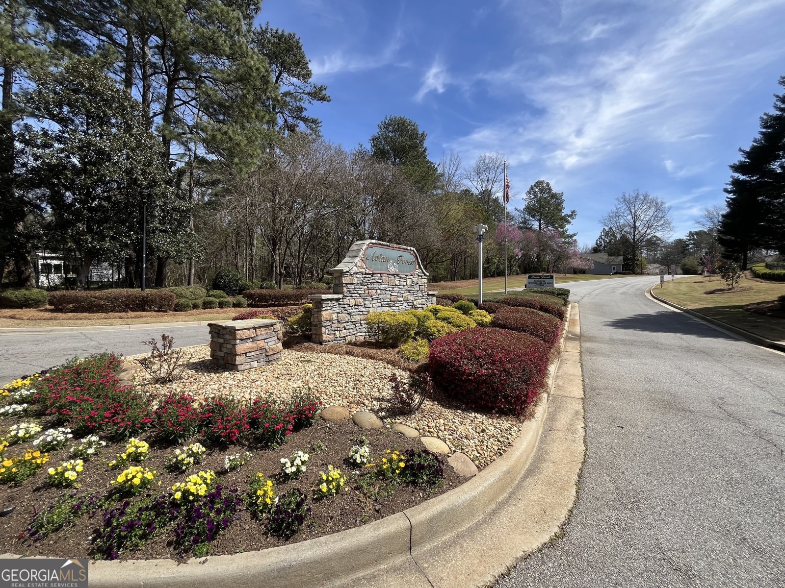 396 Avian Forest Drive Stockbridge - 47