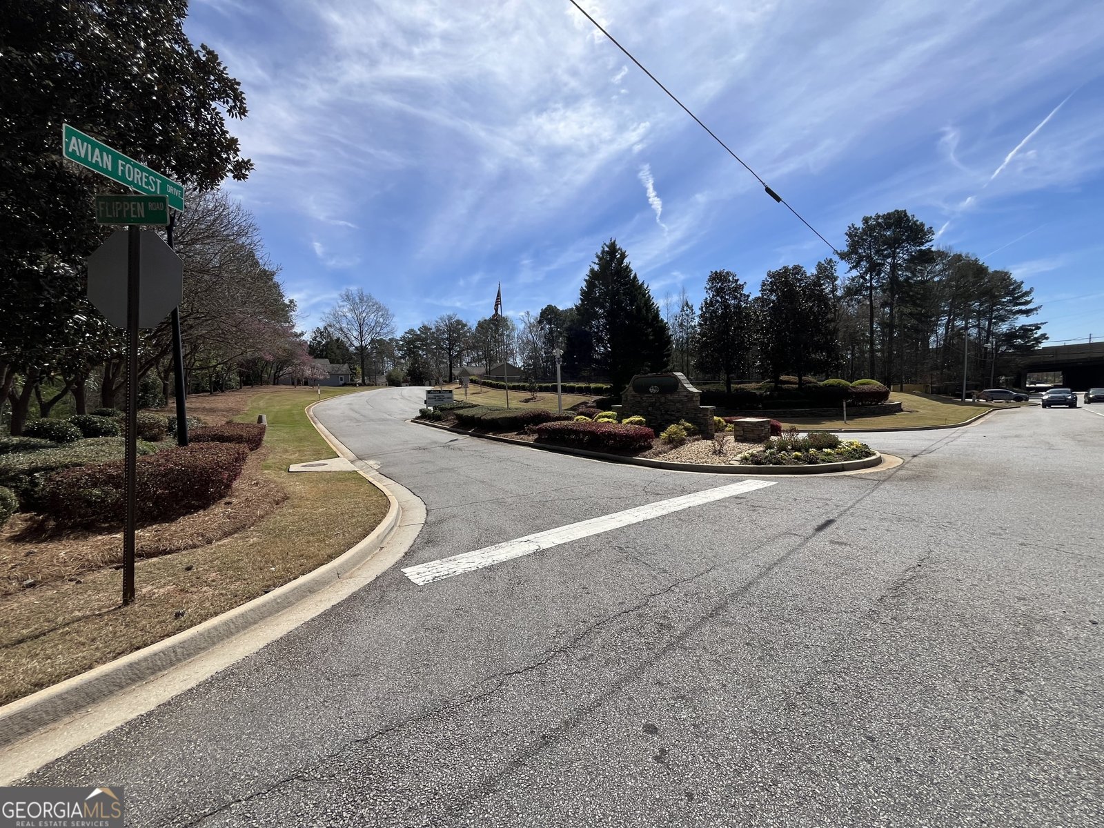 396 Avian Forest Drive Stockbridge - 48