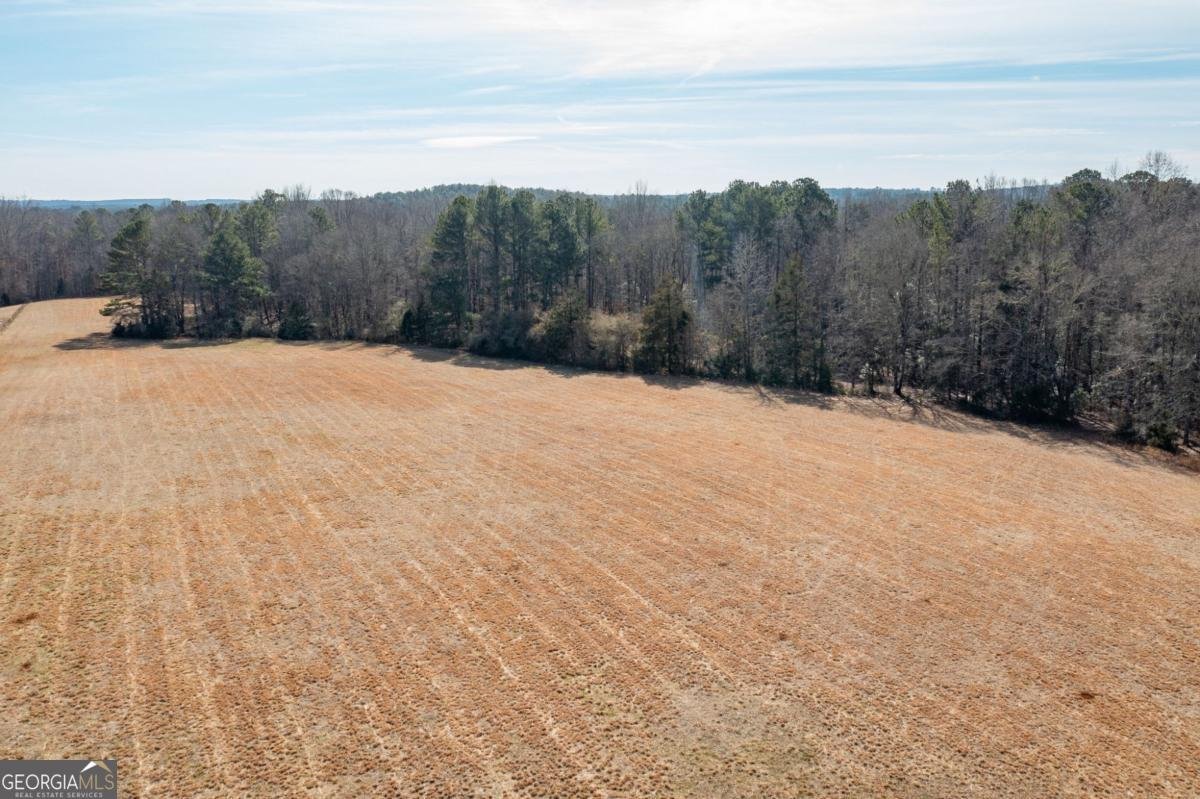 1570 Butler Bridge Road Covington - 64