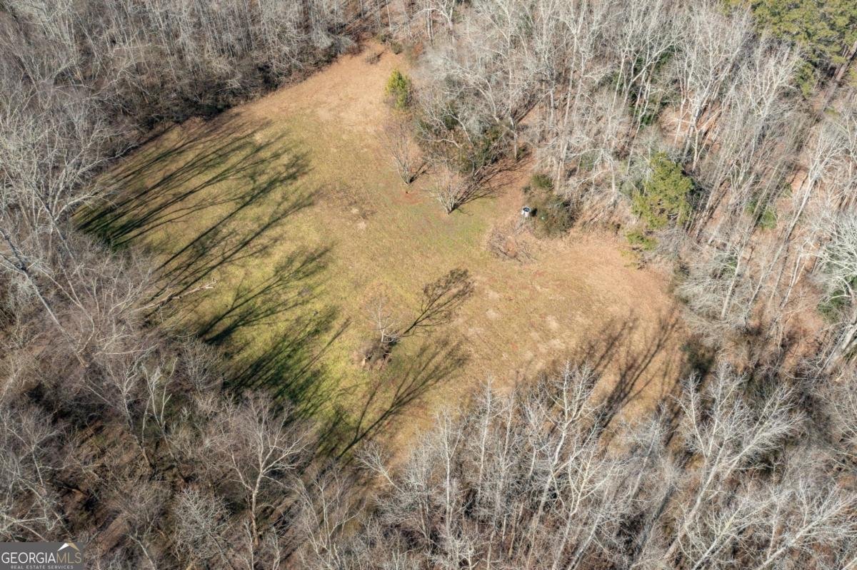 1570 Butler Bridge Road Covington - 80