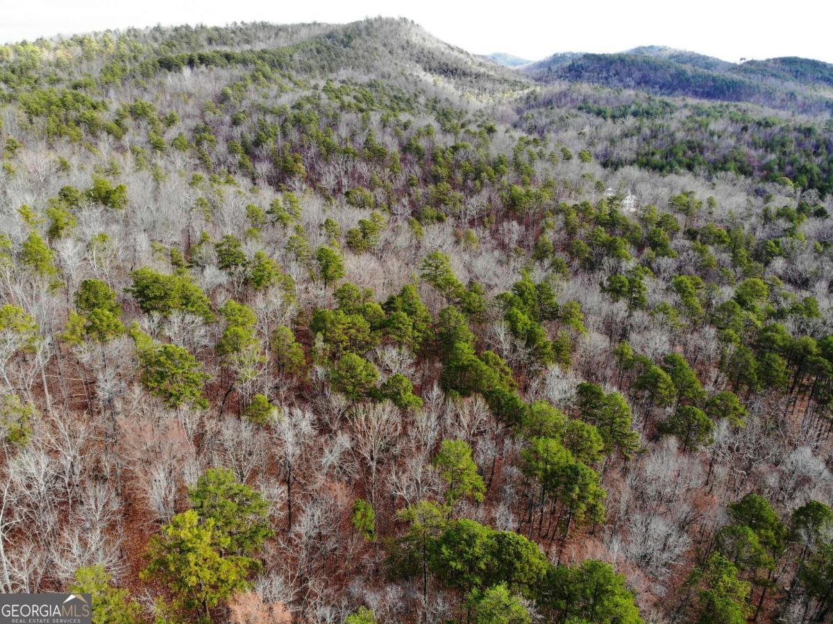 3428 Horseleg Creek Road Rome - 23