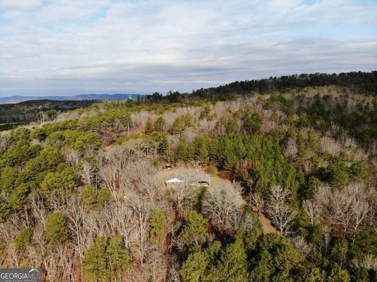 3428 Horseleg Creek Road Rome - 28