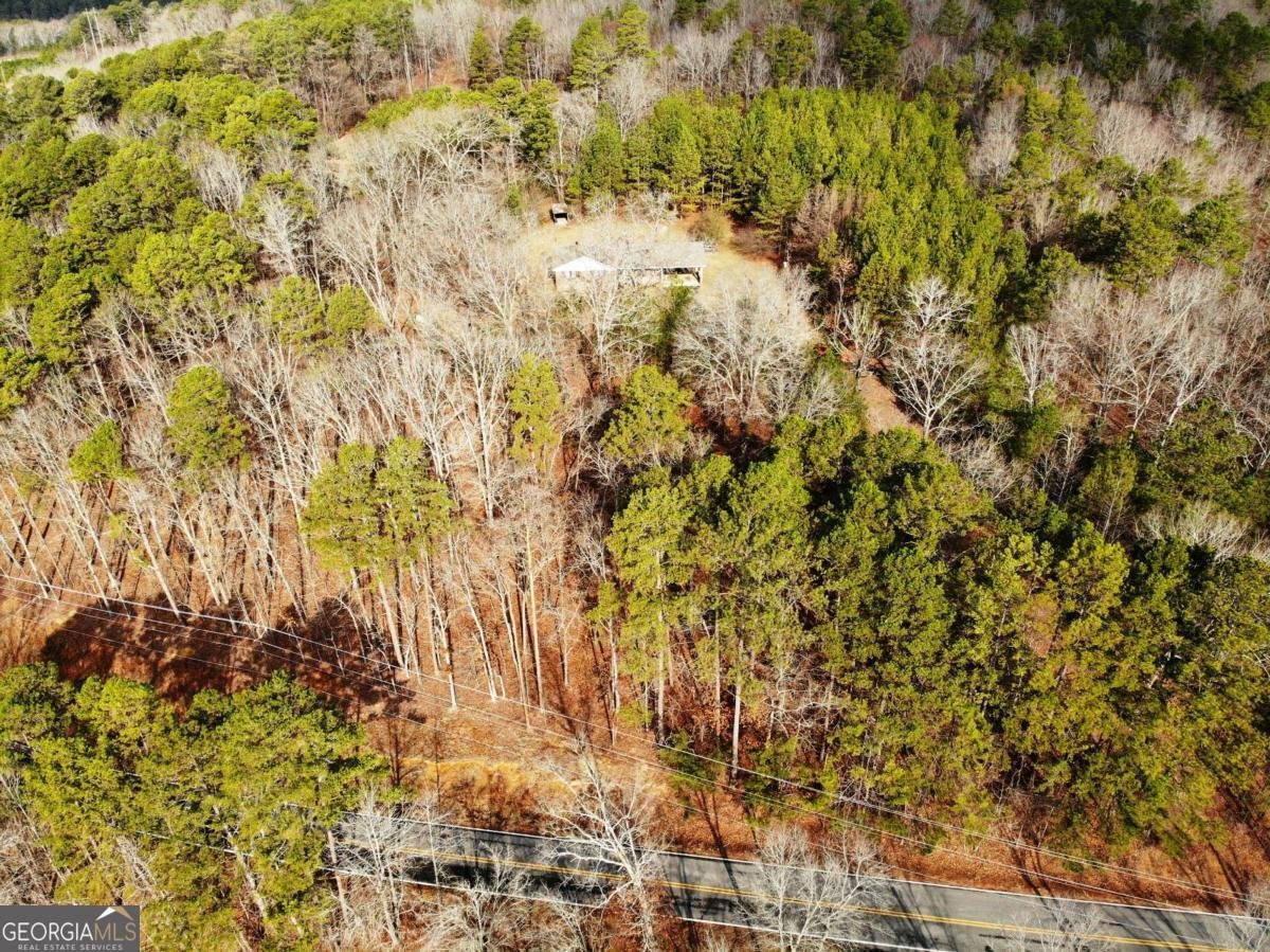 3428 Horseleg Creek Road Rome - 29
