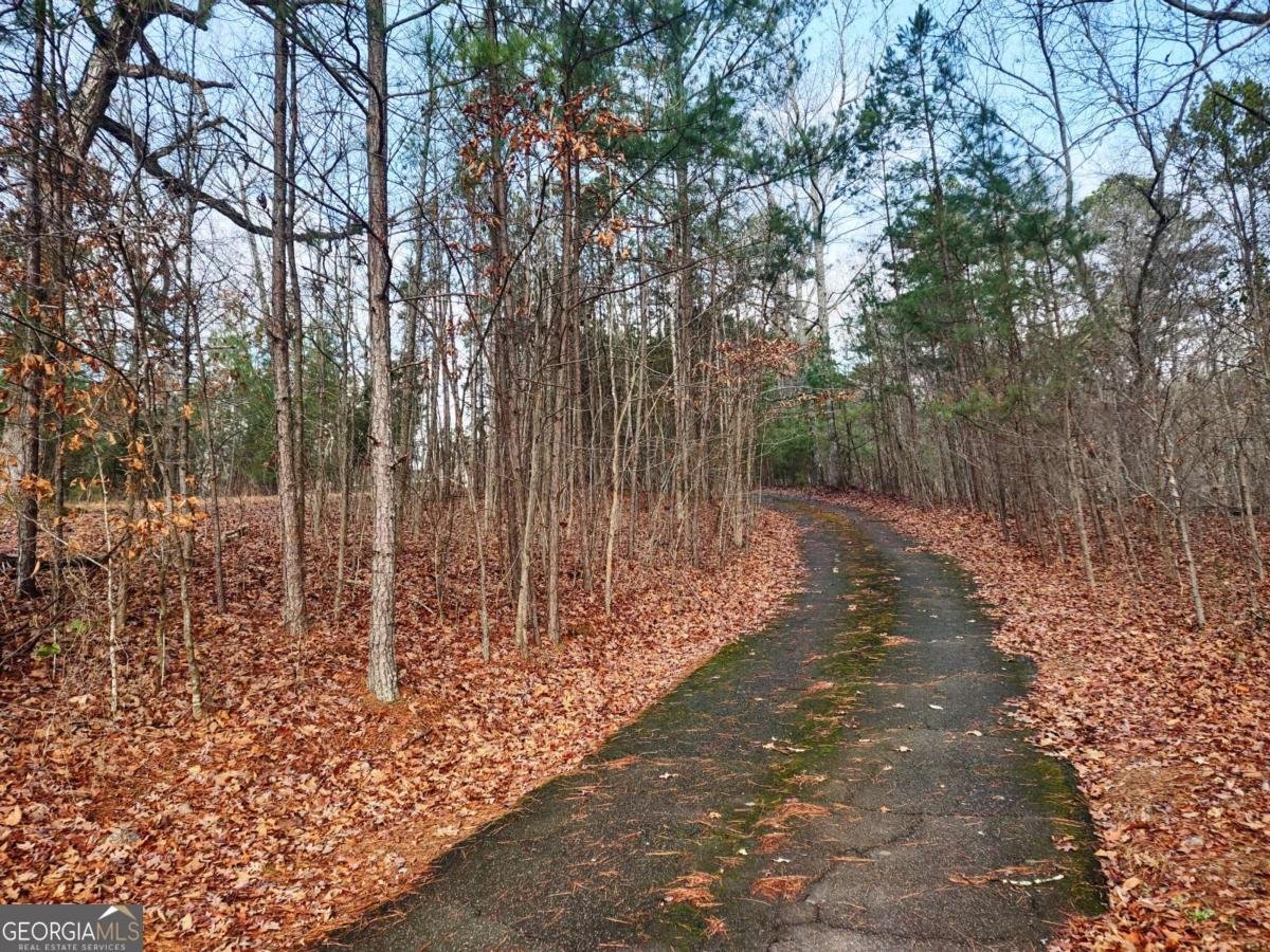 3428 Horseleg Creek Road Rome - 3