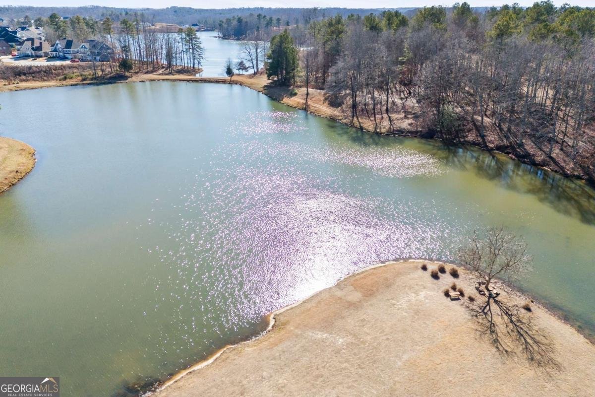 72 Clear Lake Parkway Hoschton - 13
