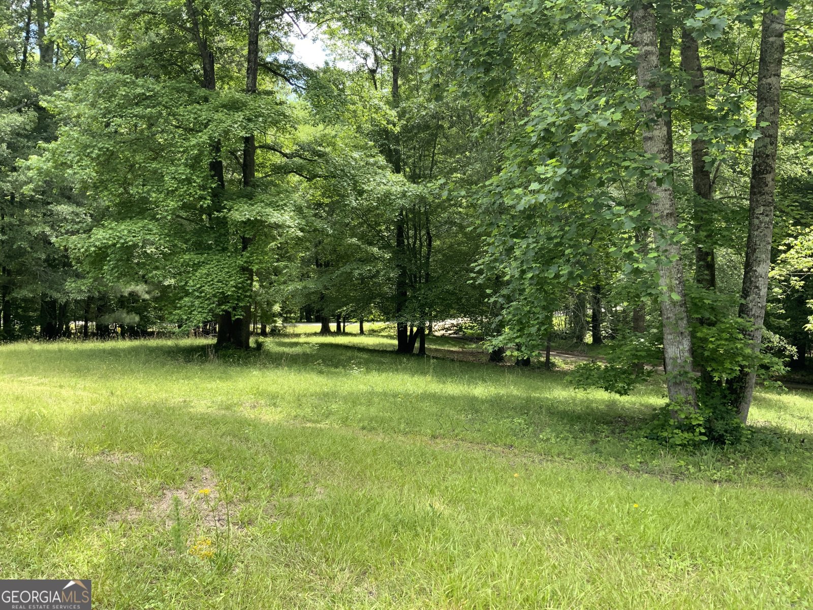 1400 Heidi Trail Buckhead - 7