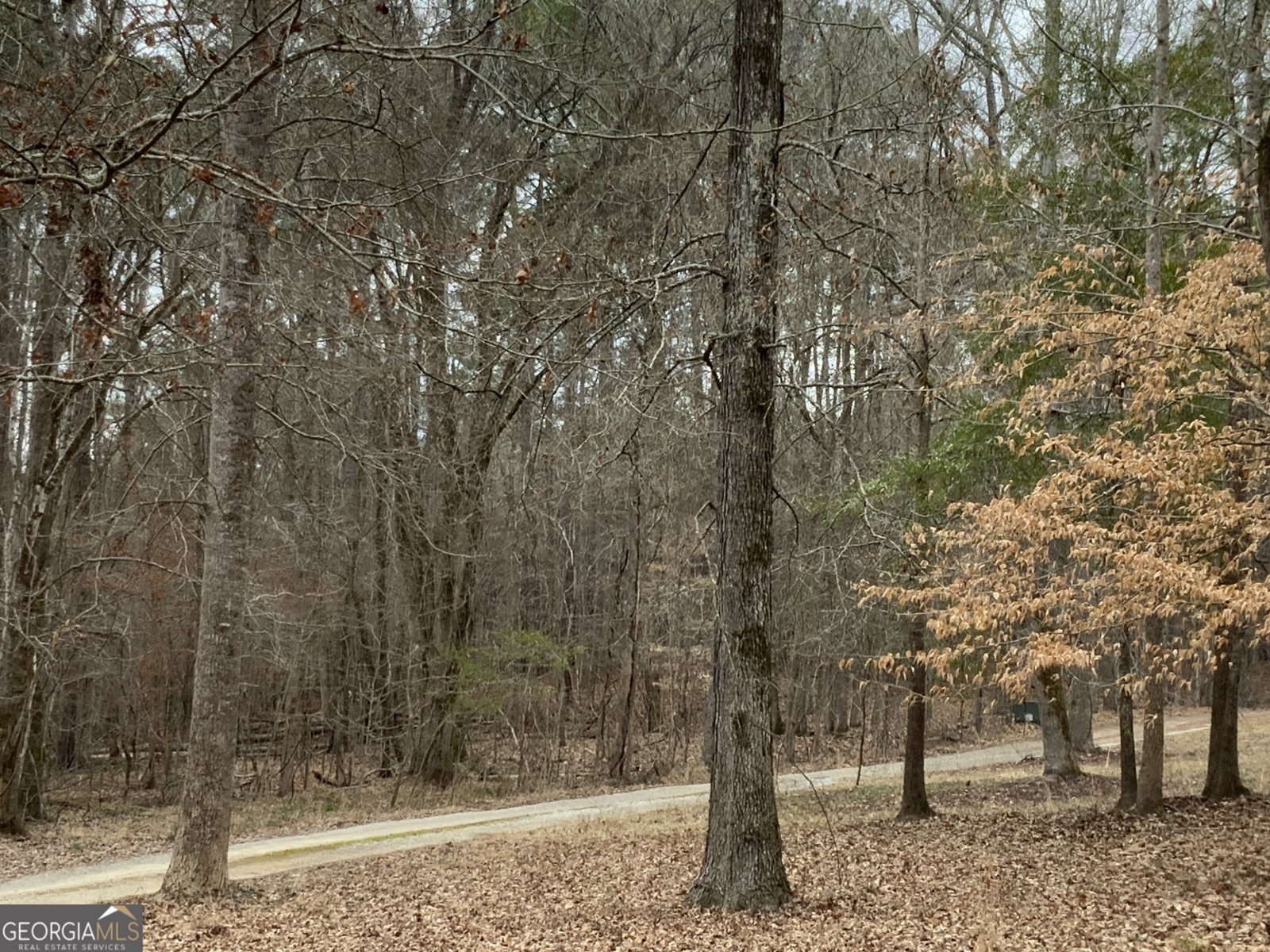 1400 Heidi Trail Buckhead - 8