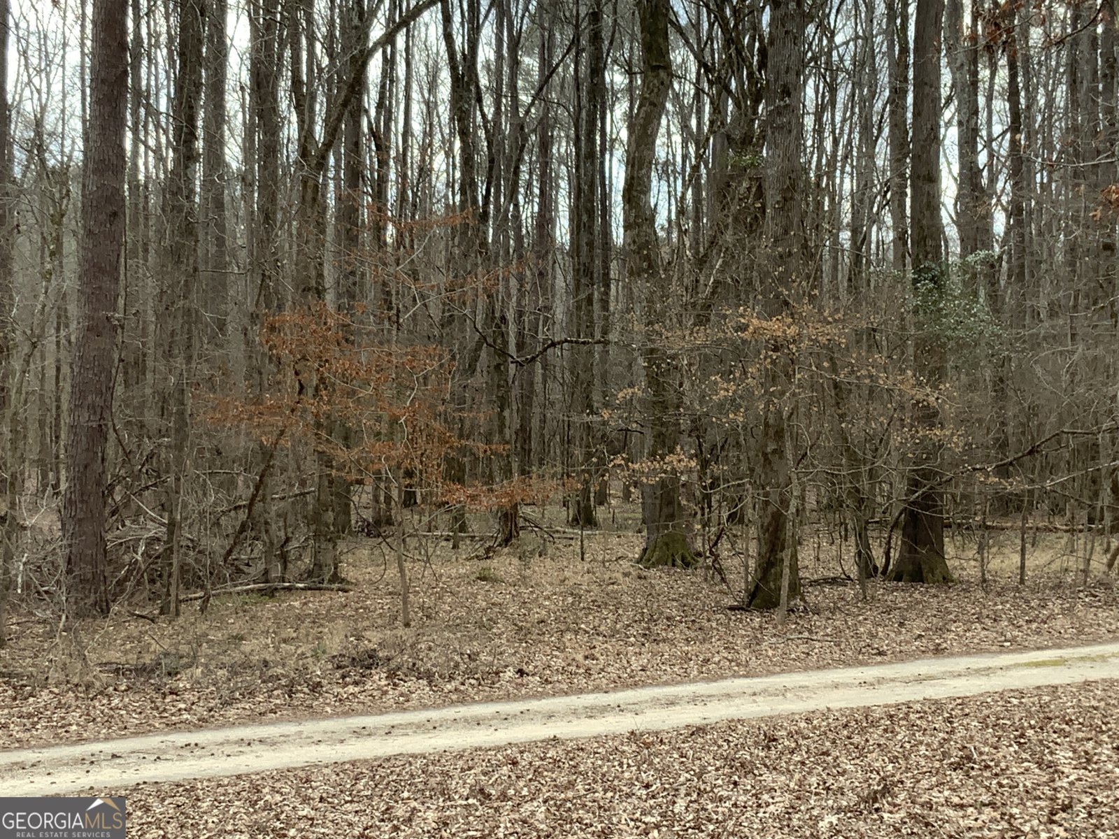 1400 Heidi Trail Buckhead - 9
