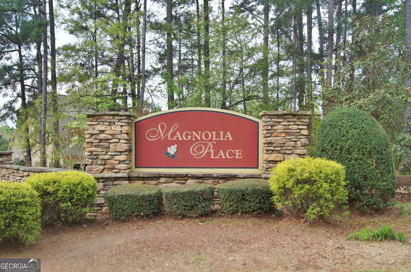 84 Magnolia Place Way Senoia - 55