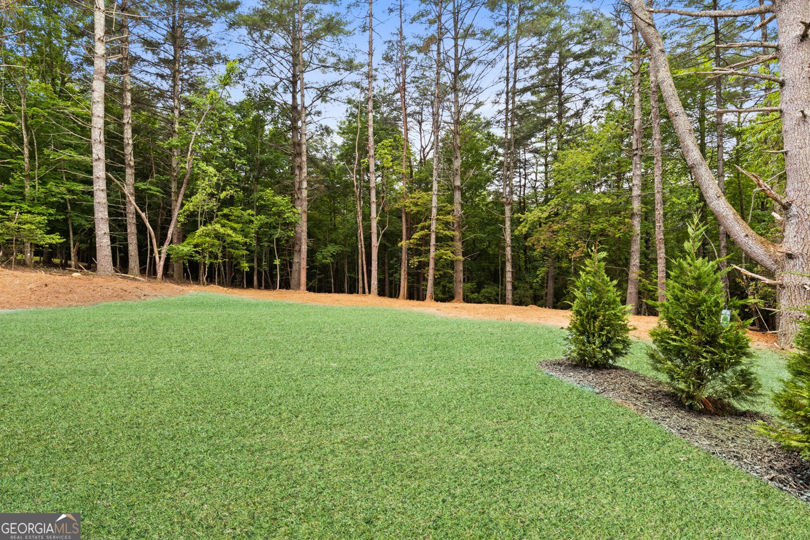 150 Red Maple Lane Blairsville - 24