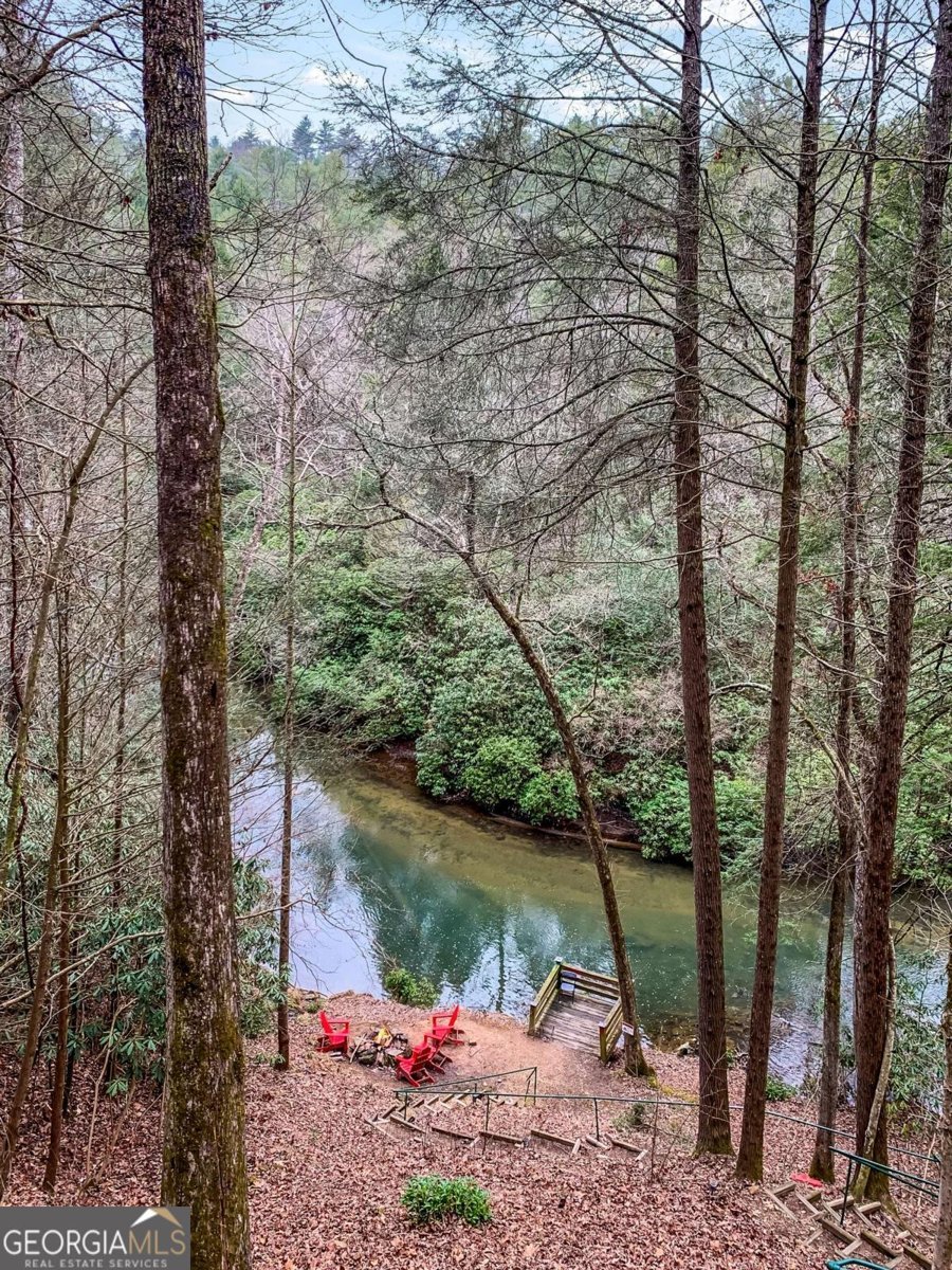 425 River Bend Court Ellijay - 40
