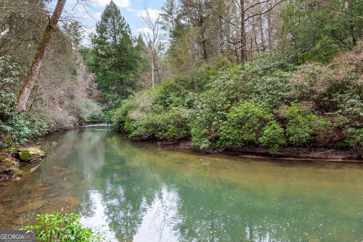 425 River Bend Court Ellijay - 44