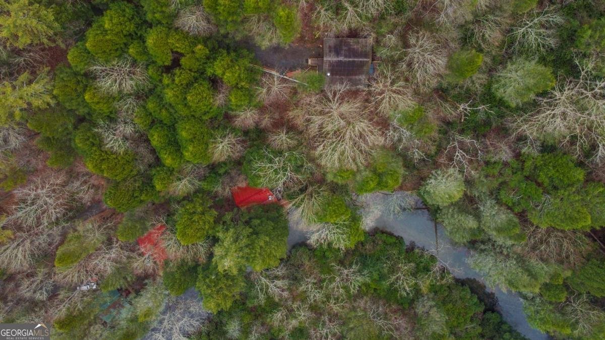 425 River Bend Court Ellijay - 47