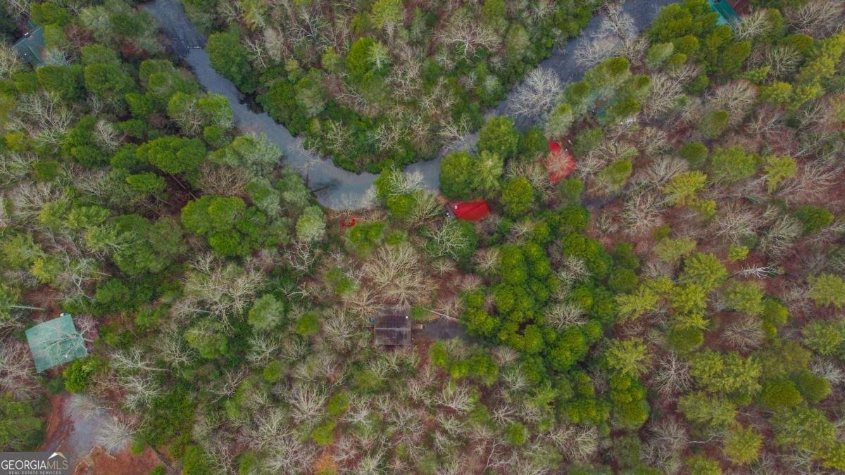 425 River Bend Court Ellijay - 48