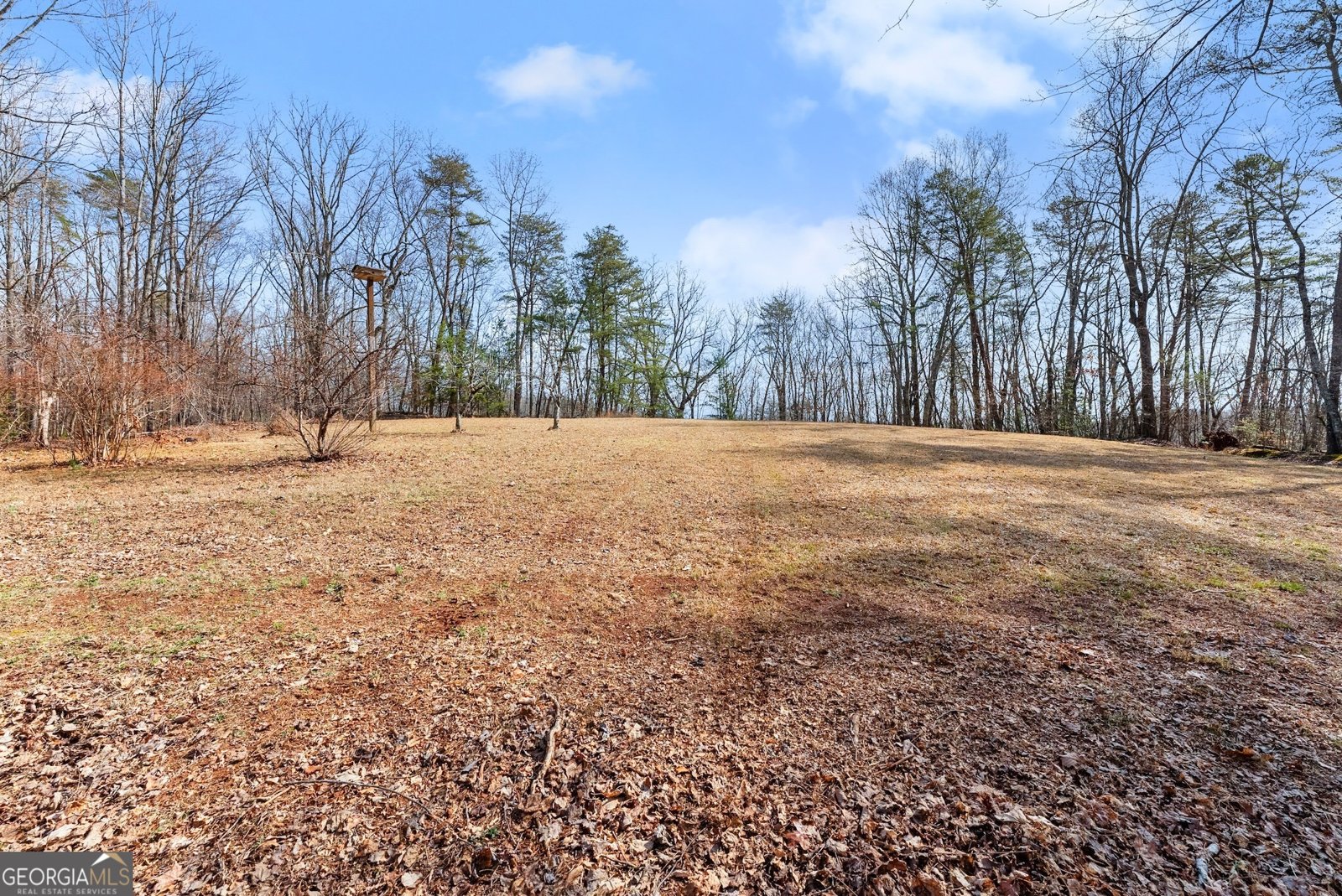 532 Ridley Road Dahlonega - 42