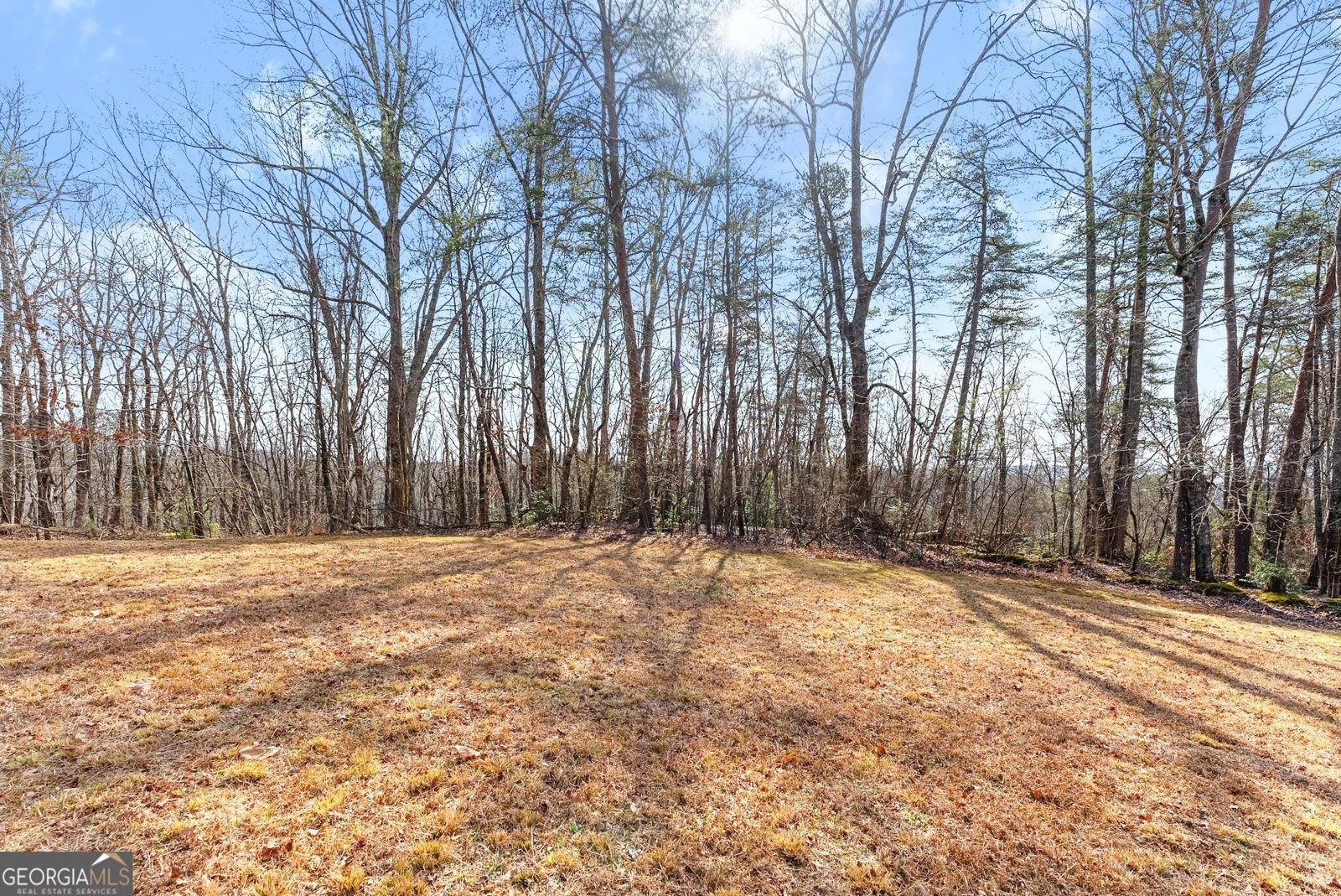 532 Ridley Road Dahlonega - 43