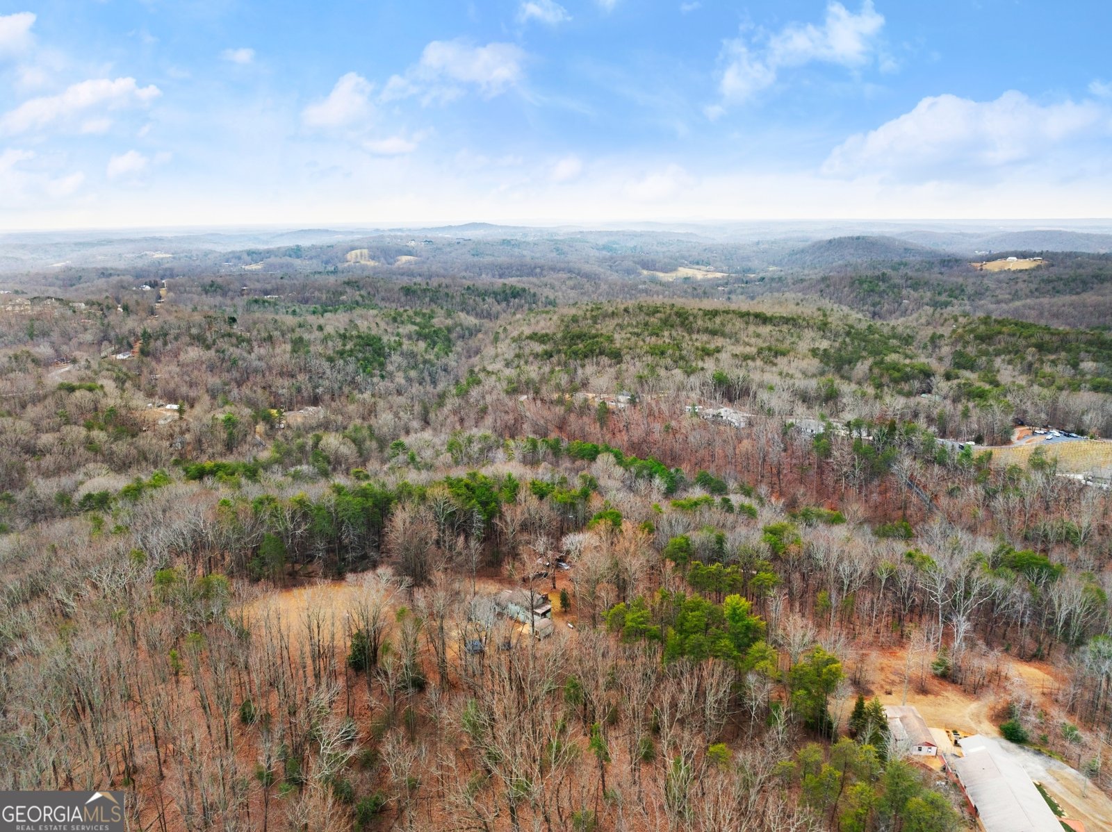 532 Ridley Road Dahlonega - 51
