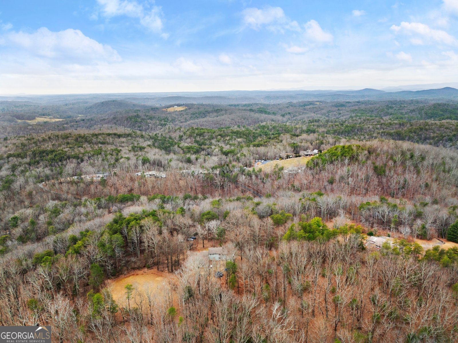 532 Ridley Road Dahlonega - 52