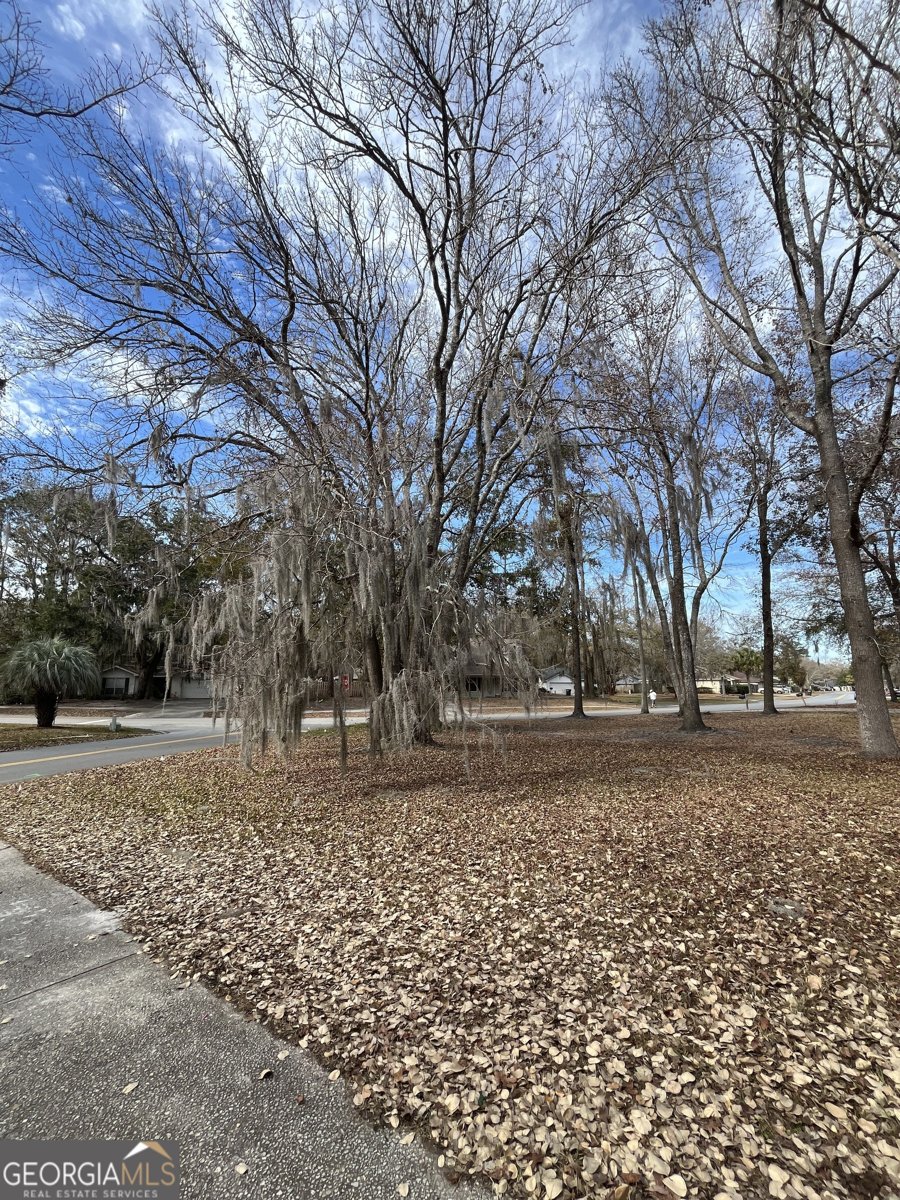 101 Bachlott Road St. Marys - 2