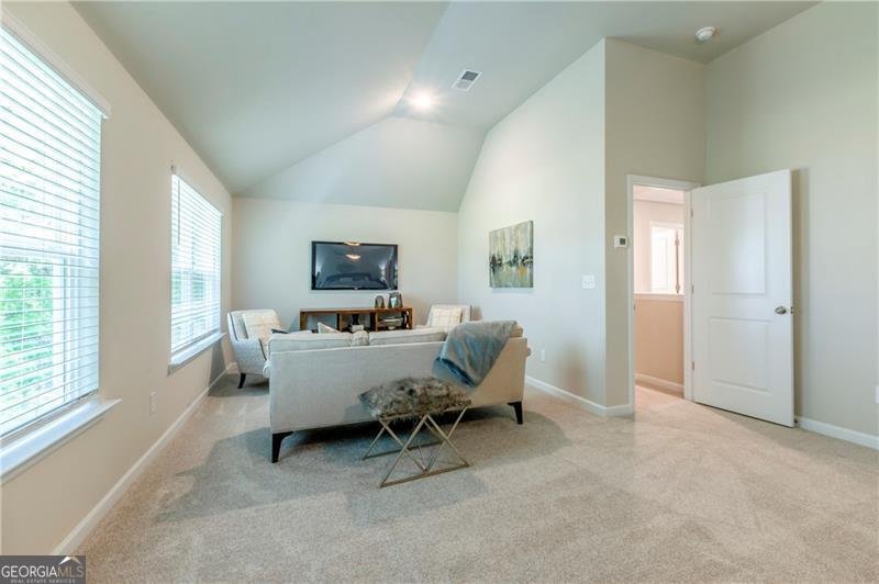 113 Maplewood Lane Conyers - 24