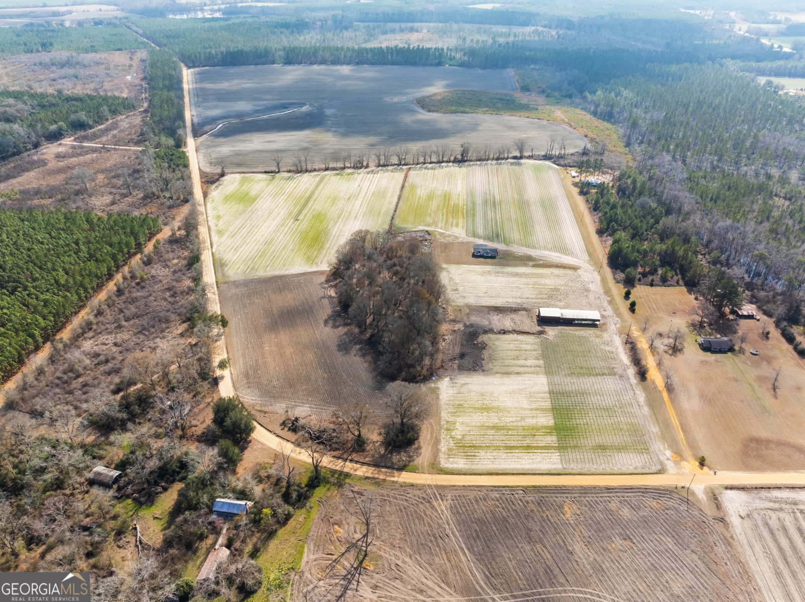 378 Tom McCall Road Claxton - 9