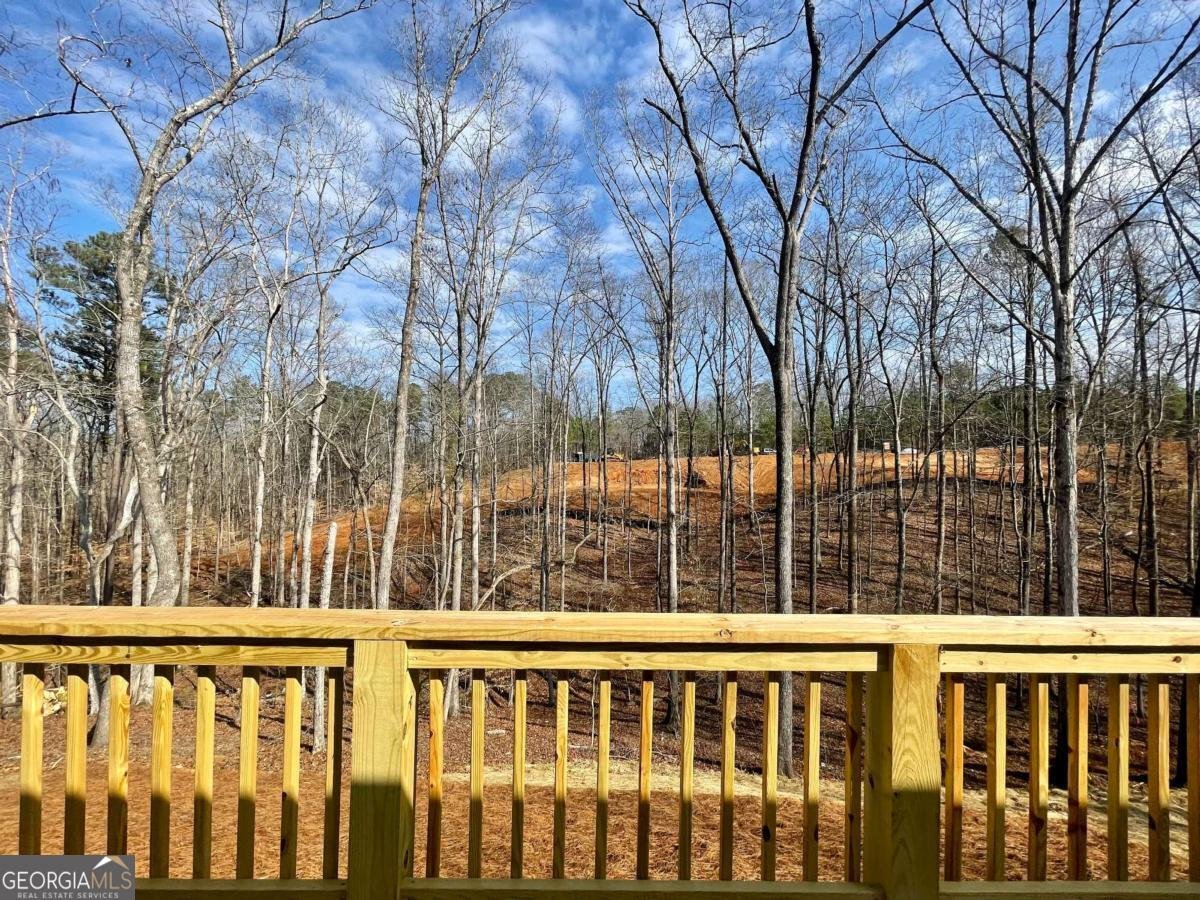 3382 Milan Court Douglasville - 38