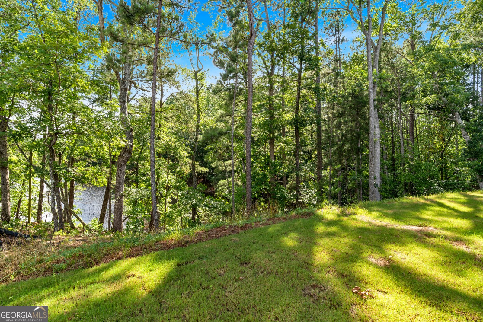 3687 Thornhill Court Douglasville - 40