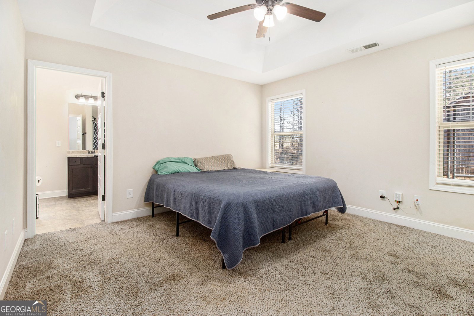 123 Needleleaf Court Barnesville - 13