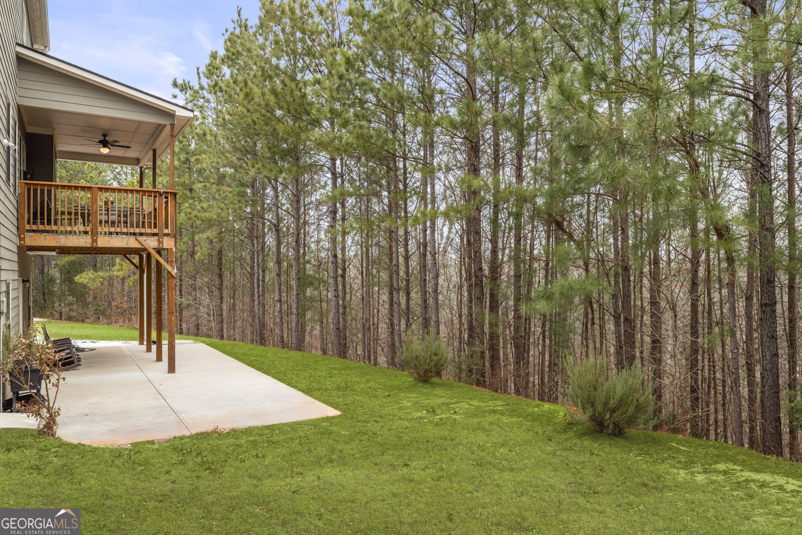 23 Carrington Way Newnan - 43
