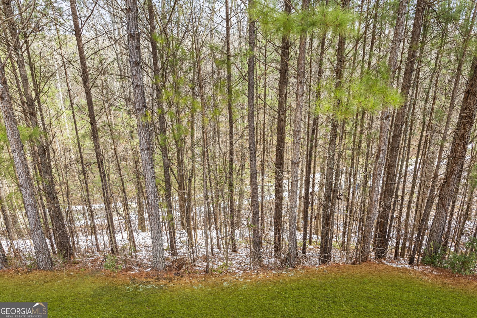 23 Carrington Way Newnan - 44