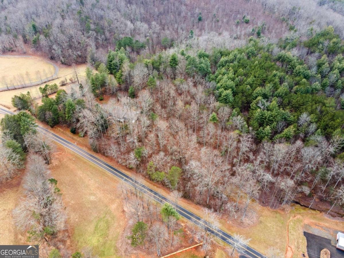 2704 Lebanon Road Epworth - 16