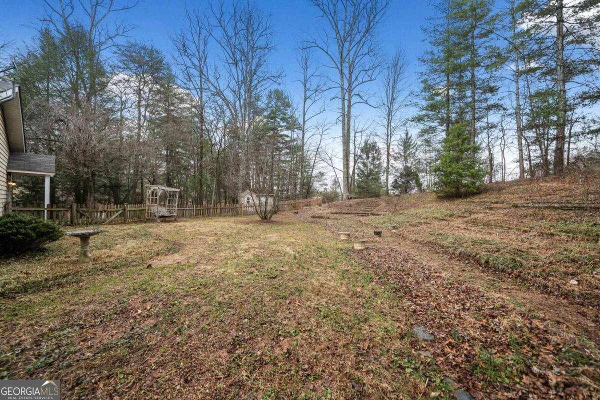 2704 Lebanon Road Epworth - 25