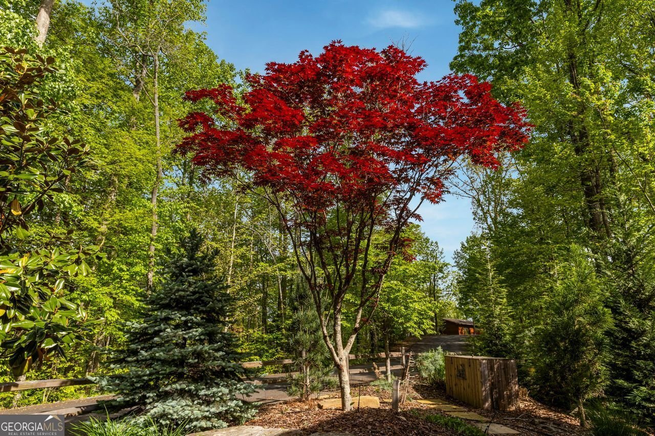 851 MORELAND Drive Blue Ridge - 82