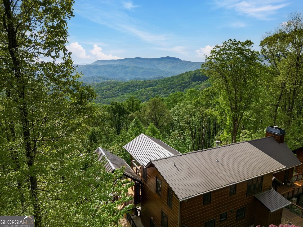 851 MORELAND Drive Blue Ridge - 9