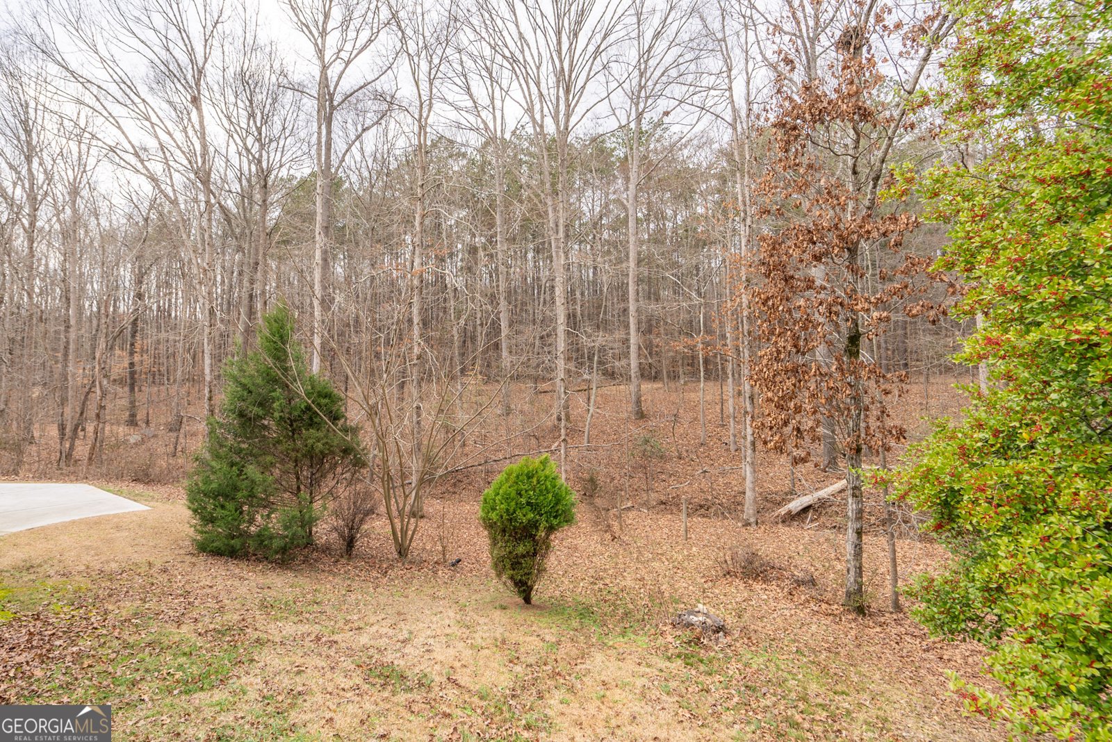550 Oak Ridge Drive Oxford - 51