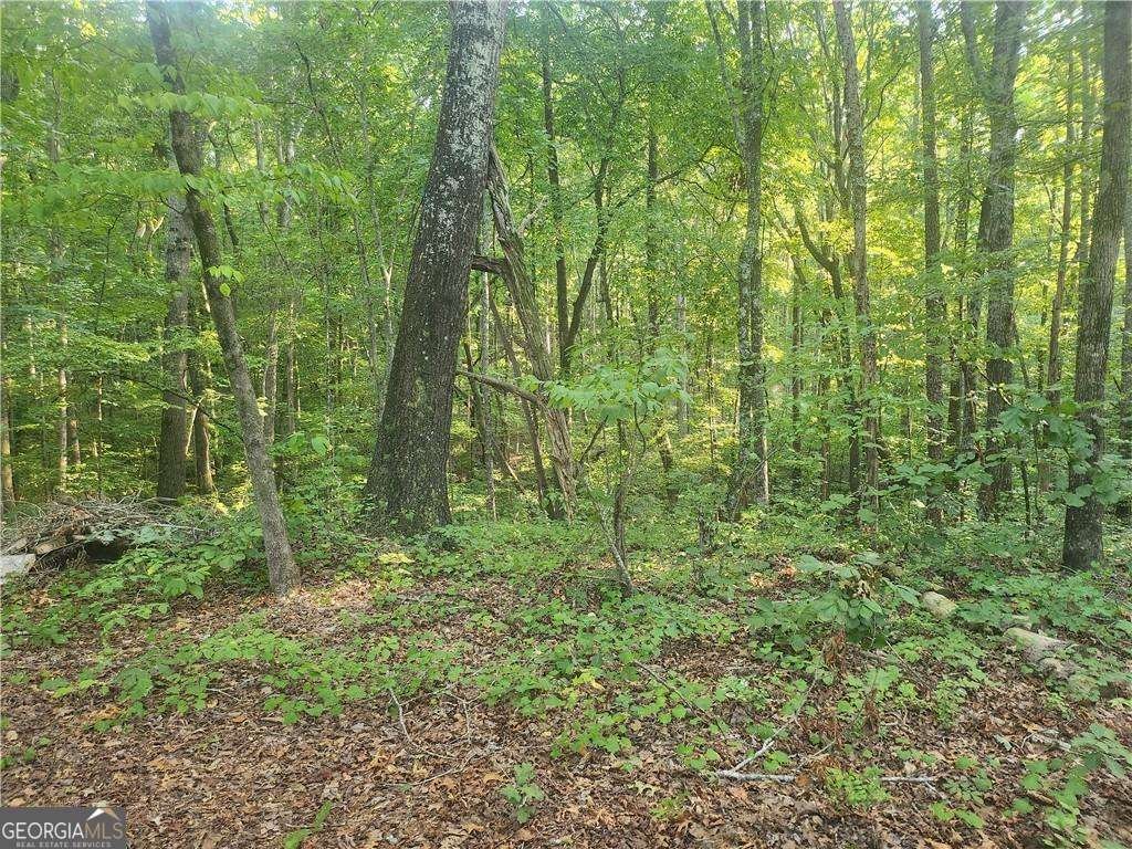 340 Pat Rich Drive Canton - 3