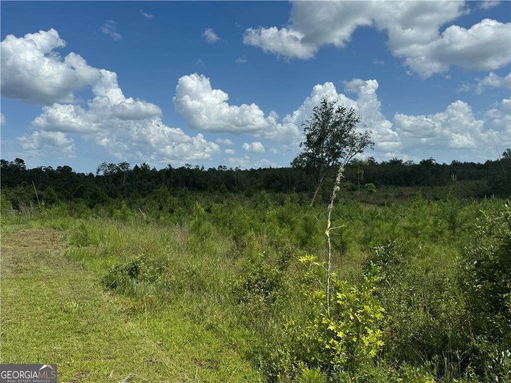 18746 HWY 301 Nahunta - 12